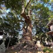 ヒメ日記 2025/02/05 00:15 投稿 とも 柏人妻花壇