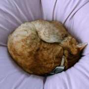 ヒメ日記 2025/02/09 09:49 投稿 とも 柏人妻花壇