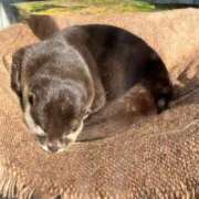 ヒメ日記 2025/02/10 08:40 投稿 とも 柏人妻花壇