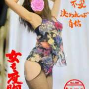 ヒメ日記 2025/02/10 21:18 投稿 とも 柏人妻花壇