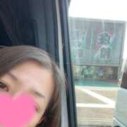 ヒメ日記 2025/02/12 11:02 投稿 とも 柏人妻花壇