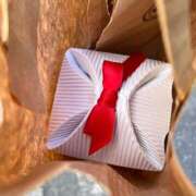 ヒメ日記 2025/02/14 15:26 投稿 とも 柏人妻花壇