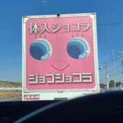 ヒメ日記 2025/02/16 11:47 投稿 とも 柏人妻花壇