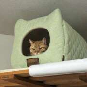 ヒメ日記 2025/03/18 07:33 投稿 とも 柏人妻花壇