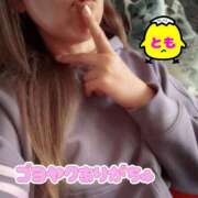 ヒメ日記 2025/03/21 17:35 投稿 とも 柏人妻花壇