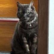 ヒメ日記 2025/03/29 10:27 投稿 とも 柏人妻花壇