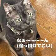 ヒメ日記 2025/04/20 09:24 投稿 とも 柏人妻花壇