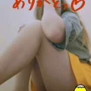 ヒメ日記 2025/04/22 14:38 投稿 とも 柏人妻花壇