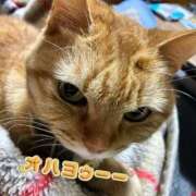 ヒメ日記 2025/04/26 08:19 投稿 とも 柏人妻花壇