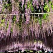 ヒメ日記 2025/05/05 00:30 投稿 とも 柏人妻花壇