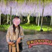 ヒメ日記 2025/05/06 07:58 投稿 とも 柏人妻花壇