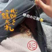 ヒメ日記 2025/05/09 23:49 投稿 とも 柏人妻花壇