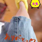 ヒメ日記 2025/05/18 08:50 投稿 とも 柏人妻花壇