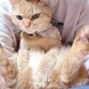 ヒメ日記 2025/06/01 00:57 投稿 とも 柏人妻花壇