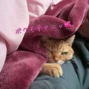 ヒメ日記 2025/06/06 19:44 投稿 とも 柏人妻花壇