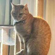 ヒメ日記 2025/07/05 07:11 投稿 とも 柏人妻花壇