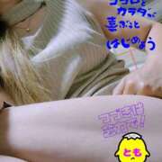 ヒメ日記 2025/07/06 05:42 投稿 とも 柏人妻花壇