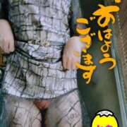 ヒメ日記 2025/08/07 10:28 投稿 とも 柏人妻花壇