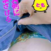 ヒメ日記 2025/10/03 17:30 投稿 とも 柏人妻花壇