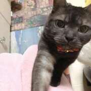 ヒメ日記 2025/10/20 08:15 投稿 とも 柏人妻花壇