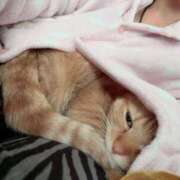 ヒメ日記 2025/11/04 01:29 投稿 とも 柏人妻花壇