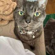 ヒメ日記 2025/11/28 12:30 投稿 とも 柏人妻花壇