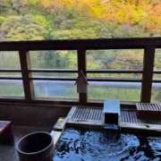 ヒメ日記 2025/11/28 12:44 投稿 とも 柏人妻花壇