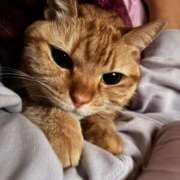 ヒメ日記 2025/11/29 08:26 投稿 とも 柏人妻花壇