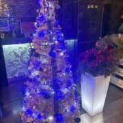 ヒメ日記 2025/11/29 22:20 投稿 とも 柏人妻花壇