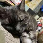 ヒメ日記 2025/12/02 18:52 投稿 とも 柏人妻花壇