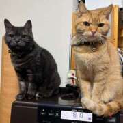 ヒメ日記 2025/12/06 09:34 投稿 とも 柏人妻花壇