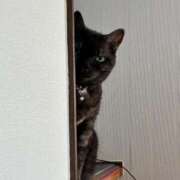 ヒメ日記 2025/12/16 08:21 投稿 とも 柏人妻花壇