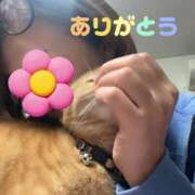 ヒメ日記 2026/01/11 18:34 投稿 とも 柏人妻花壇