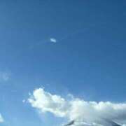 ヒメ日記 2025/05/16 18:39 投稿 まゆり 柏人妻花壇