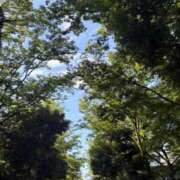 ヒメ日記 2025/06/18 19:01 投稿 まゆり 柏人妻花壇