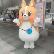 ヒメ日記 2025/07/14 21:18 投稿 まゆり 柏人妻花壇