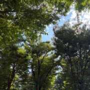 ヒメ日記 2025/07/24 21:16 投稿 まゆり 柏人妻花壇