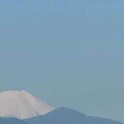 ヒメ日記 2025/07/26 21:39 投稿 まゆり 柏人妻花壇