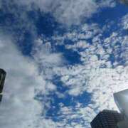 ヒメ日記 2025/09/25 21:36 投稿 まゆり 柏人妻花壇