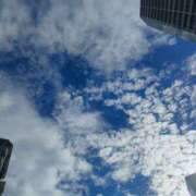 ヒメ日記 2025/10/10 09:43 投稿 まゆり 柏人妻花壇