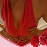 ヒメ日記 2025/10/21 08:06 投稿 まゆり 柏人妻花壇