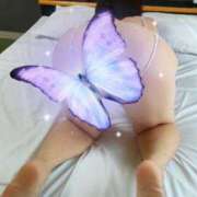 ヒメ日記 2025/10/31 14:51 投稿 まゆり 柏人妻花壇