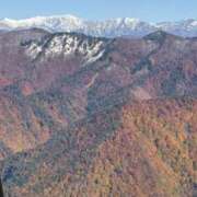 ヒメ日記 2025/11/09 09:25 投稿 まゆり 柏人妻花壇