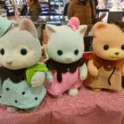 ヒメ日記 2026/02/04 21:41 投稿 まゆり 柏人妻花壇