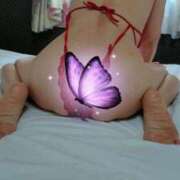 ヒメ日記 2026/04/09 08:31 投稿 まゆり 柏人妻花壇