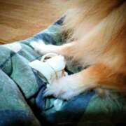 ヒメ日記 2026/03/20 08:20 投稿 きょう 柏人妻花壇