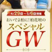 ヒメ日記 2026/04/29 06:48 投稿 きょう 柏人妻花壇
