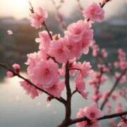 ヒメ日記 2025/04/09 14:12 投稿 ひばり 柏人妻花壇