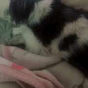 ヒメ日記 2025/07/23 19:42 投稿 ゆりか 柏人妻花壇