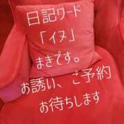 ヒメ日記 2026/01/27 18:05 投稿 まき 柏人妻花壇